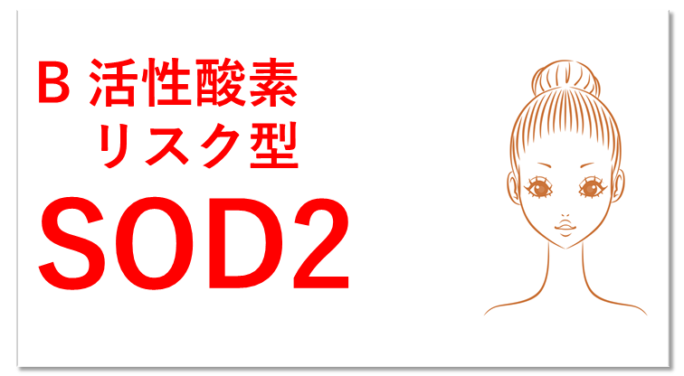 活性酸素リスク型