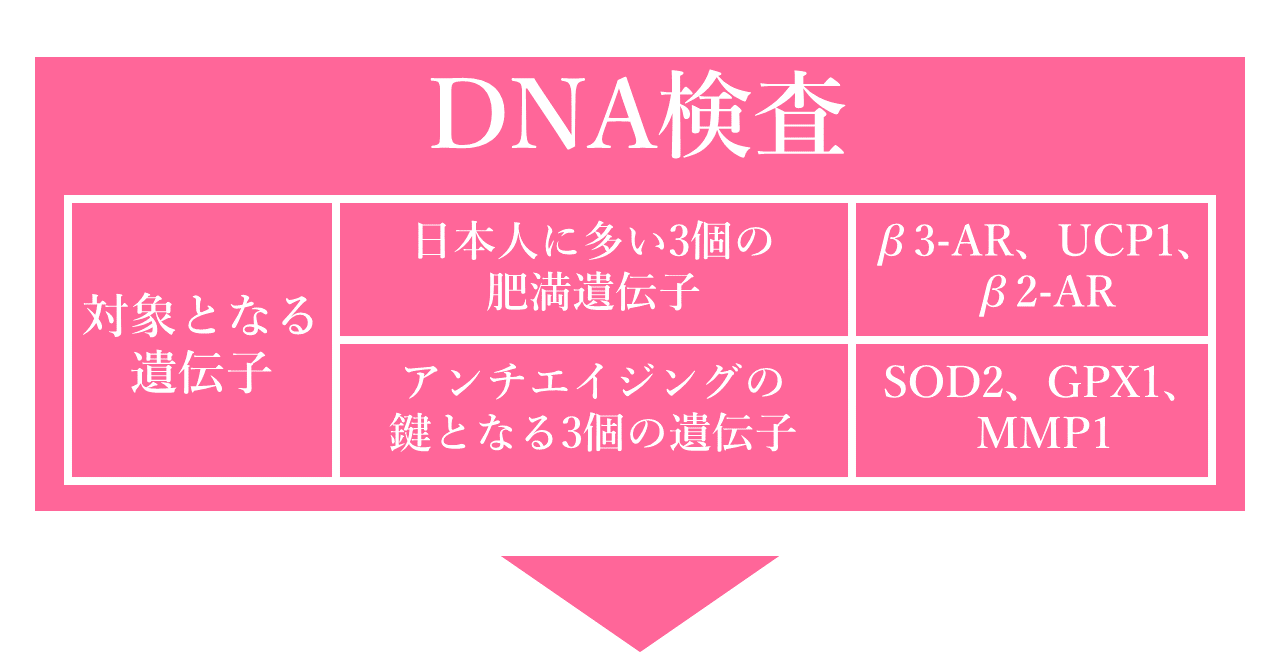 DNA検査①