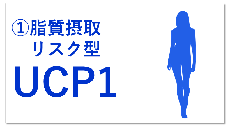 肥満摂取リスク型