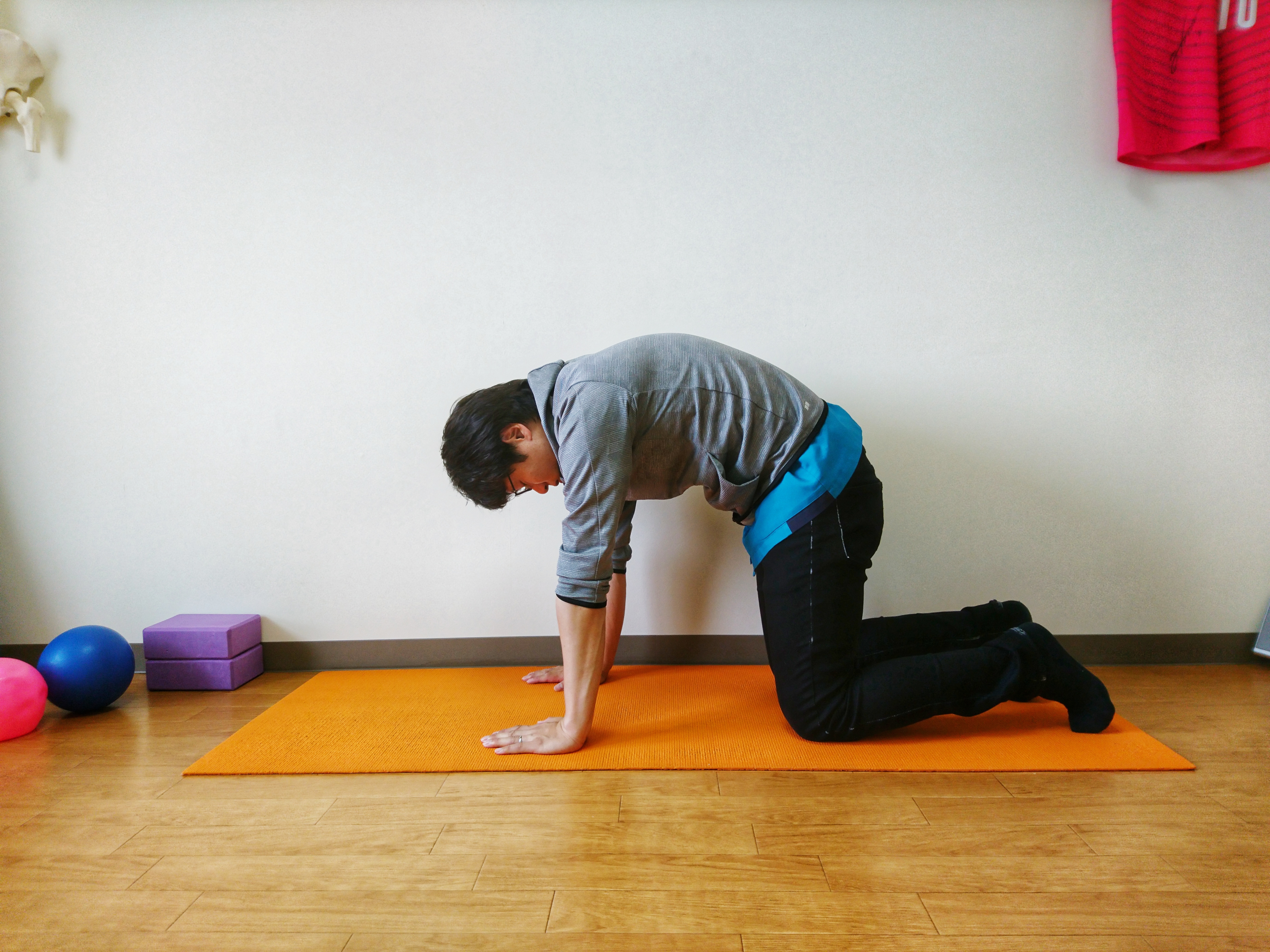 体幹トレーニング キャット