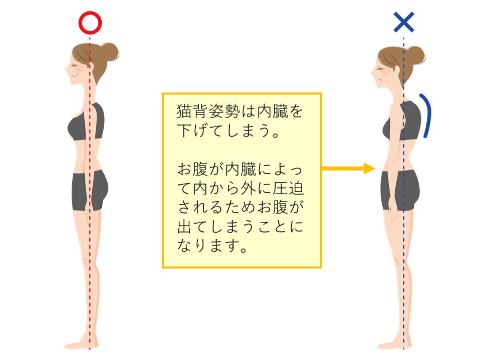 猫背姿勢