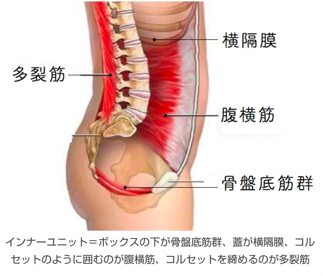 o1080092514972763531