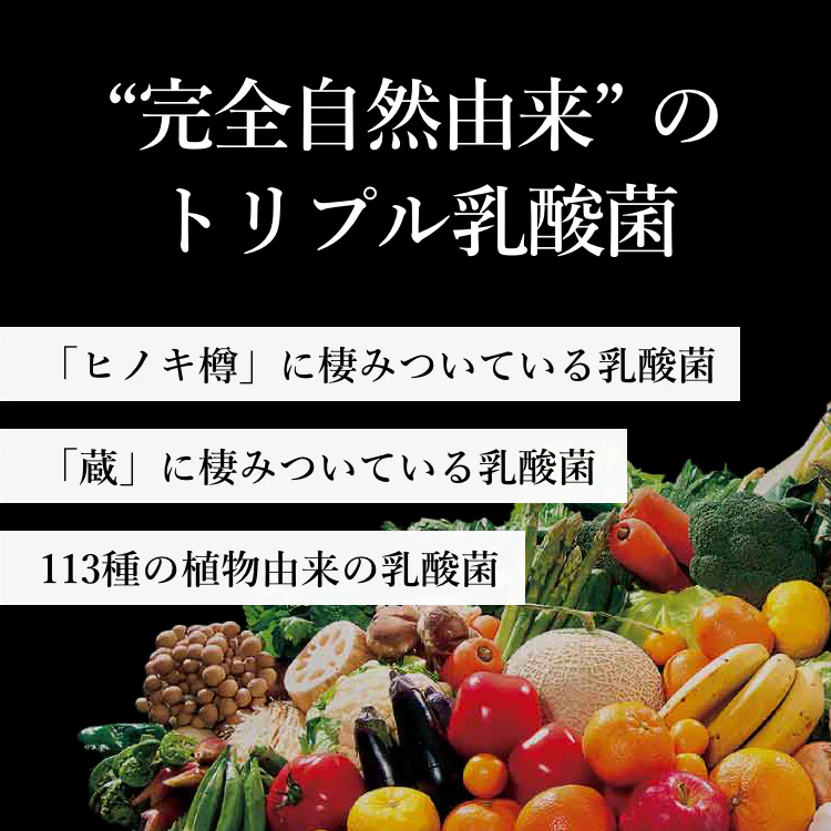 es0056_v-e0456_10_v_thum-lp_250130_02_2