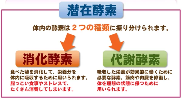 o0600033113742472224