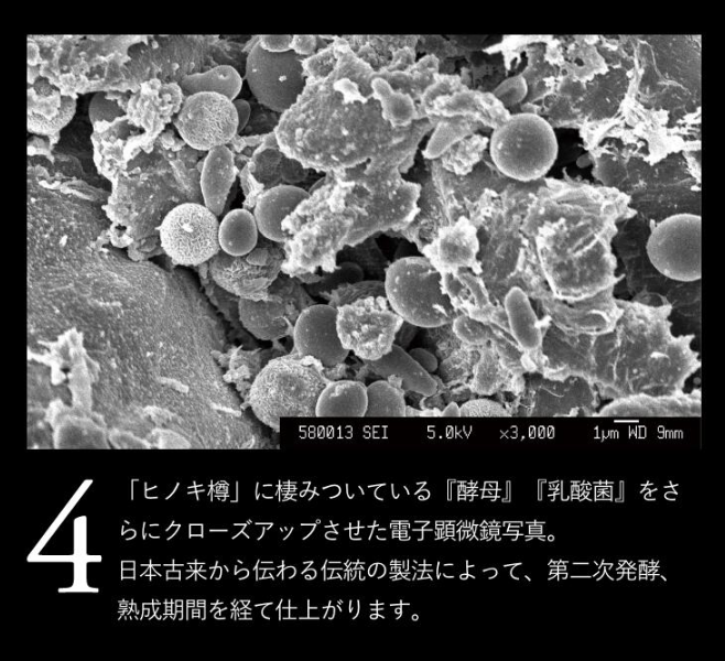 スクリーンショット 2025-09-11 071854