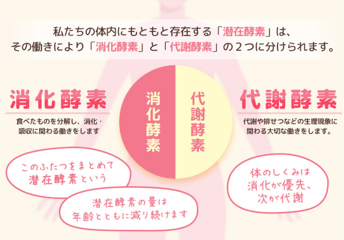 スクリーンショット 2025-09-17 211952