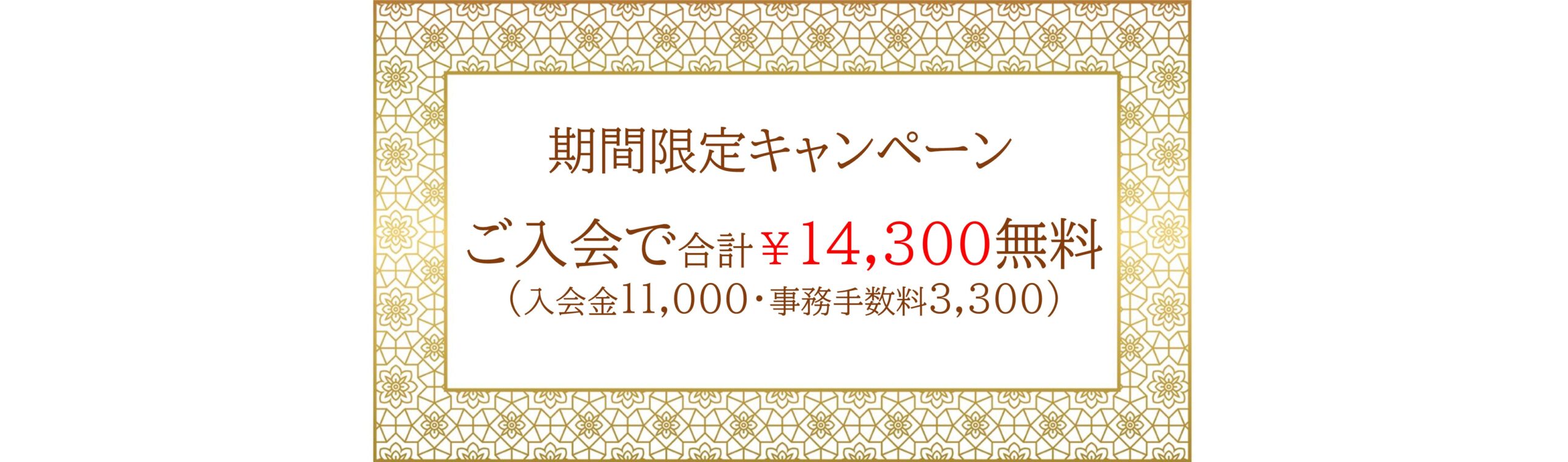 プレゼンテーション1