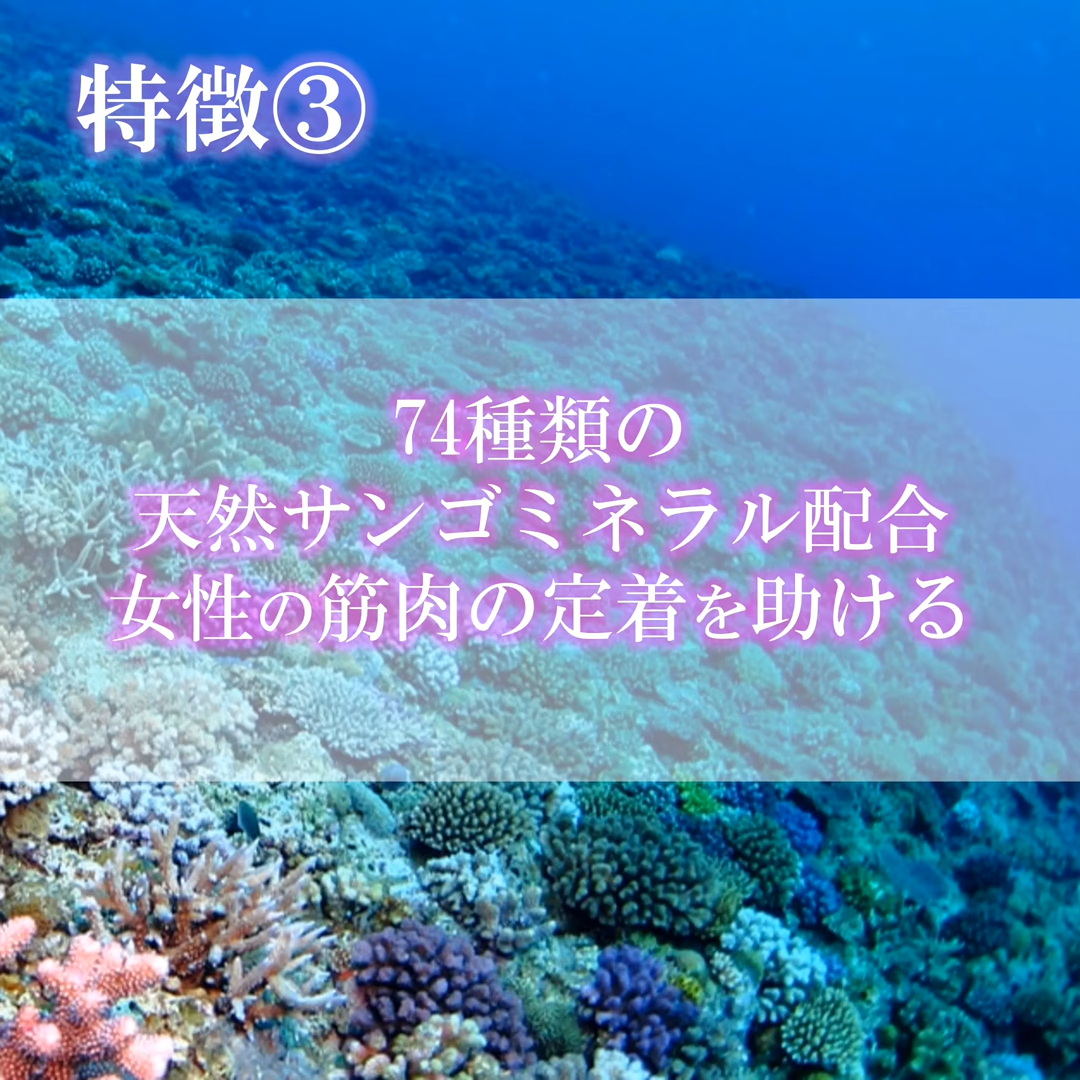 スクリーンショット 2025-10-21 145908