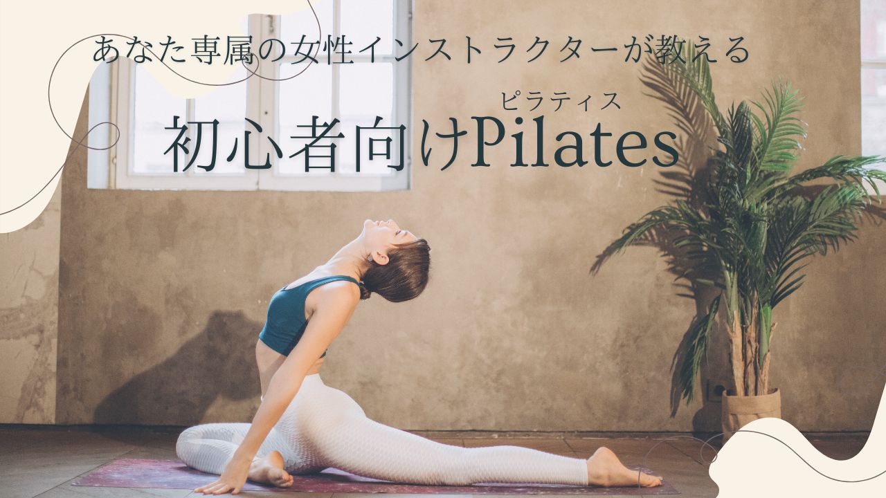 初心者向け